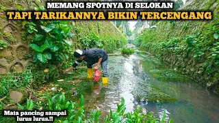 Mancing Belut Di Tengah Kota Besar Yang Mulai Mengering Tarikannya Bikin Saya Tercengang