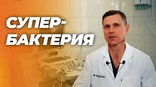 Аккермансия муцинифила - самая полезная из всей микрофлоры кишечника. Польза огромна.