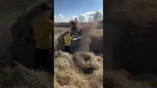Вывезли сено на мтз 82😁 