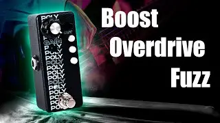 Guitar Pedal Polygama 