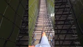 Suspension bridge (Chain & Wood, Hellabrunn Zoo)