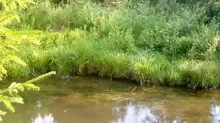 Пробуждайтесь, будьте разумны и осознаны! Коротко и ясно!