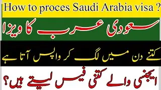 How to visa process in Saudi Arabia || Pakistani eganci fee ? /Hindi Urdu