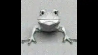 Test lol