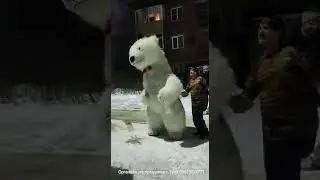 8 МАРТА БЕЛЫЙ МИШКА ПОЗДРАВЛЯЕТ. ТУЛА.