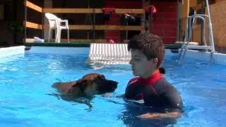 La scuola di nuoto per cani