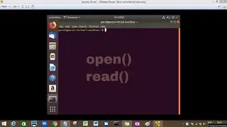 PYTHON TUTORIAL 12: OPEN() AND READ() FUNCTION IN PYTHON PROGRAMMING|WORKING WITH FILES IN PYTHON