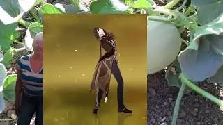 canteloup video