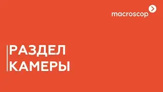 Macroscop клиент. Раздел камеры