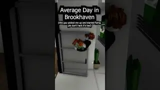 Average Day In Brookhaven... #roblox #brookhaven #shorts