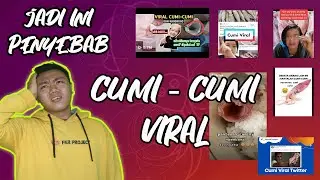 CUMI - CUMI VIRAL DI TWITTER DAN DI TIK TOK KARENA INI ??? I FKR PROJECT