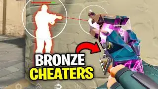 The Bronze 5-Stack who all used Wallhacks.