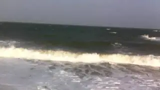 Дикий пляж в национальном парке Yala
