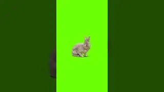 3D Green screen effect video# Black screen effect Video # kinemaster effect video#Shorts