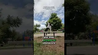 ⬆️AQUI para APRENDERLO a DETALLE el LAZY🧐 
