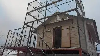 Пермские гривуны Александра Володина