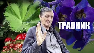 АЛХИМИЯ   СИЛА ТРАВЫ