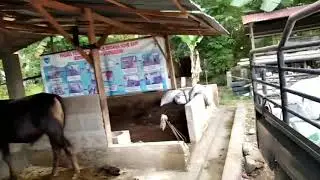 PERSIAPAN PENILAIAN PUPUK KOMPOS