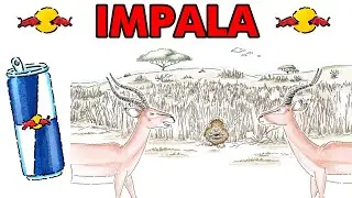 🦁 