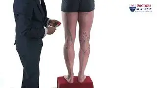 Popliteal Artery Surface Anatomy | Professor Stuart Enoch