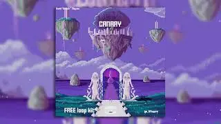 [FREE] LOOP KIT / SAMPLE PACK - *Canary* (Drain, Hyperpop, Lil Uzi Vert, Bladee, Rich Amiri)