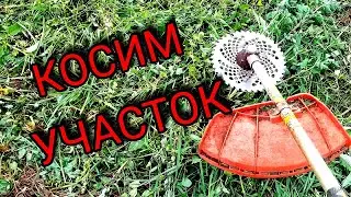Косим заросший участок триммером.