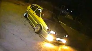 Тазик на акулах.