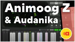 Animoog Z played with Audanika | Audanika