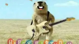 Happy Birthday, Prairie Dog Style!