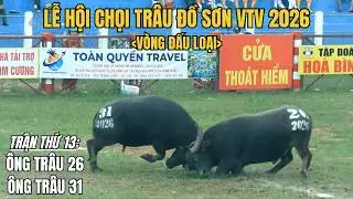 Do Son Buffalo Fighting Festival VTV 2026 (Match 13) | TRONG TUAN BT
