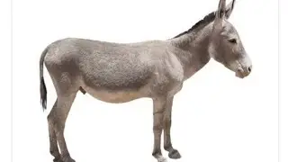 Ишки Дехоти кисми 7