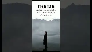 Har bir jarohat... #manolisozlar #aqlligaplar #manoligaplar #mybloopers #shorts #short #sevgi #aql