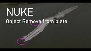 Remove Object from plate (Nuke)
