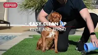 Dexas MudBuster Portable Dog Paw Cleaner  Amazon 2023 #viral #viral #foryourpage