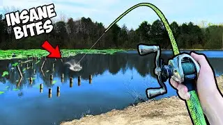 1v1 Trophy Pond Fishing Tournament (INSANE)