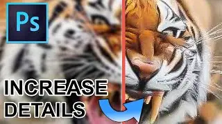 Photoshop 2020 - Dramatically Increase Details in Low Resolution Image