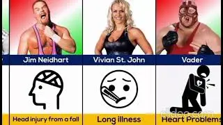 how WWE wrestlers died (top 100 list) 