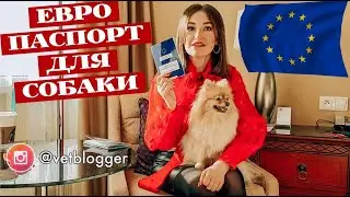 ЕВРО ПАСПОРТ для питомца. Как и где ПОЛУЧИТЬ?