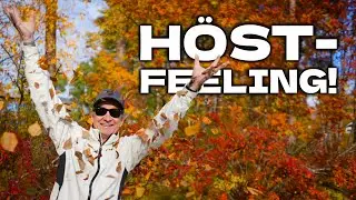 Höst-Vlogg med Höst-Feeling