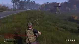 Dayz