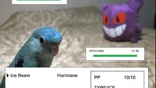 How to get pokemon on Android (Updated! 2013)