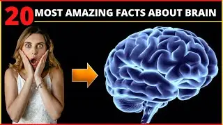 20 Most Amazing Facts About Brain | You Must Know | 2021
