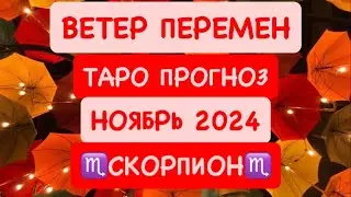 ♏️СКОРПИОН♏️ ВЕТЕР ПЕРЕМЕН .НОЯБРЬ 2024. ТАРО ПРОГНОЗ