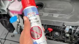 Car Rat Protection  | Rat Spray for Car