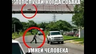 Приколы, Юмор, Смехчасть 70