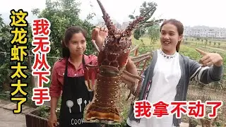 朋友给小北寄来一只大龙虾，阿芝大厨也无从下手，蒸着吃味道不对，问题出在哪里|Boston lobster