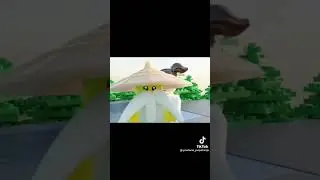 Master wu
