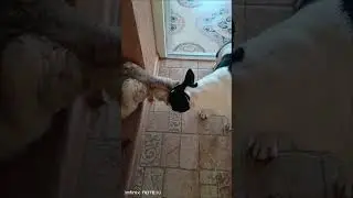 Настоящая любовь ❤️❤️