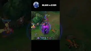 애니비아 vs 탑 탱커(뚜벅이)
