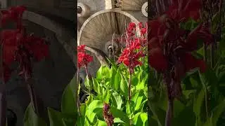 Армения моя 